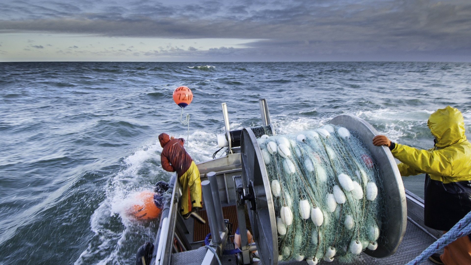 Miracle Strand / Osada Gillnet Color Samples