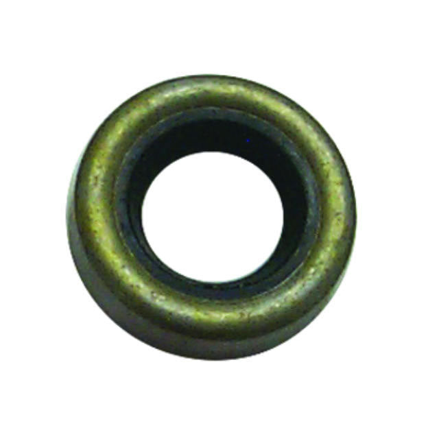 Oil Seal - OMC 318972, 18-2025 Sierra