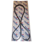 Serpentine Belt 6.0