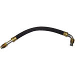 Hose - Assy #10X17.25" Remote