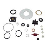 Raritan Crown Head Standard Repair Kit, CHRK