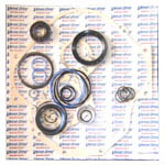 Gasket Seal And Snap Ring Kit