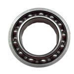 Bearing--Annular