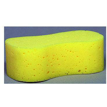 Dog Bone Sponge