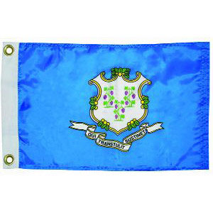 Taylor Made, US State Flag, 12" x 18", Connecticut
