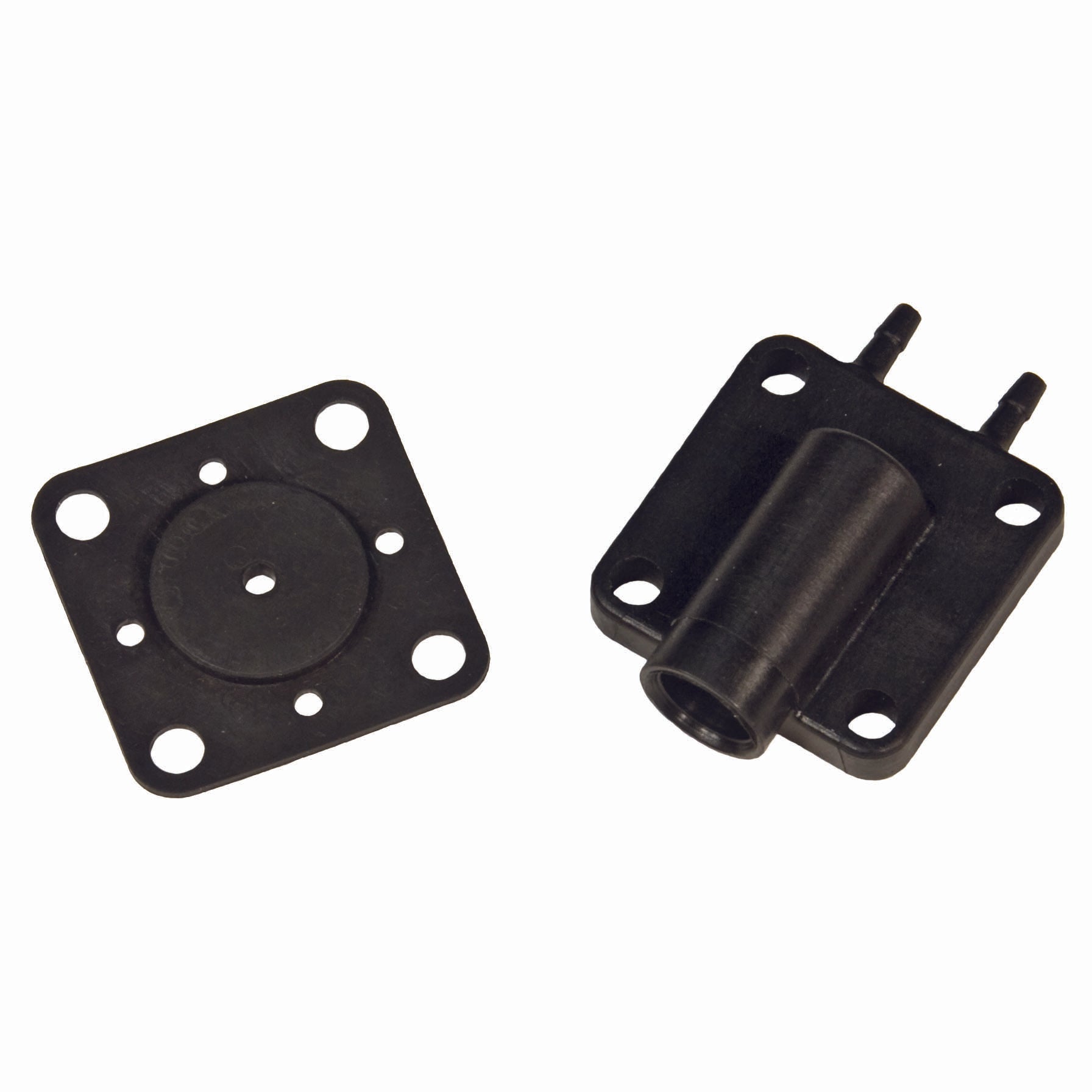 Cover & Gasket Assembly