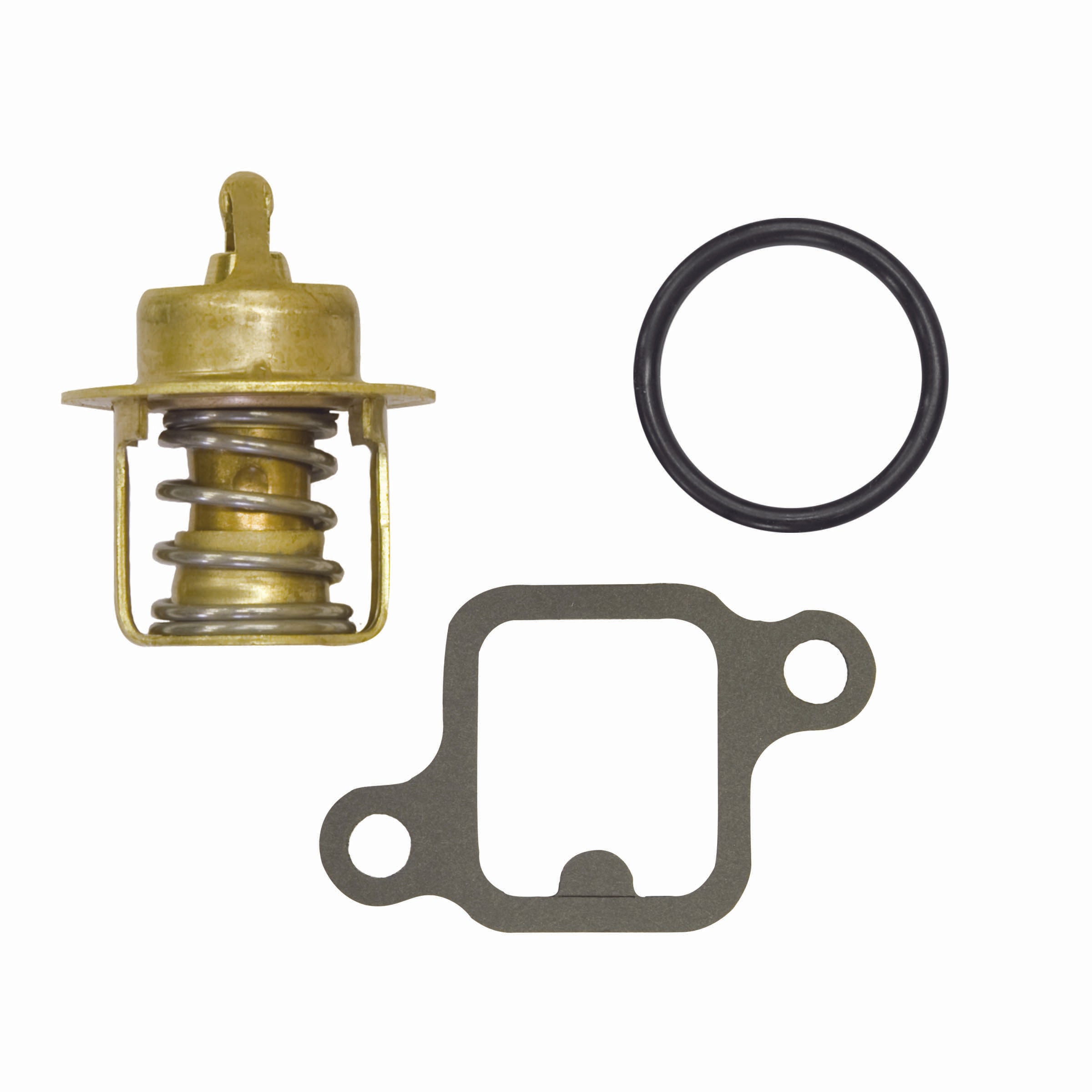 Thermostat Kit