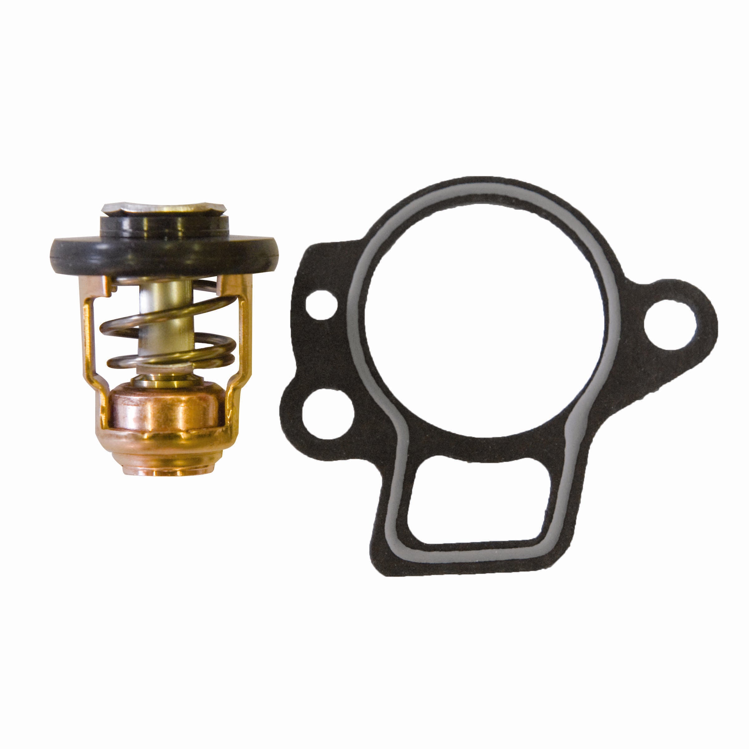 Yamaha Thermostat Kit 6H3-12411-11-00