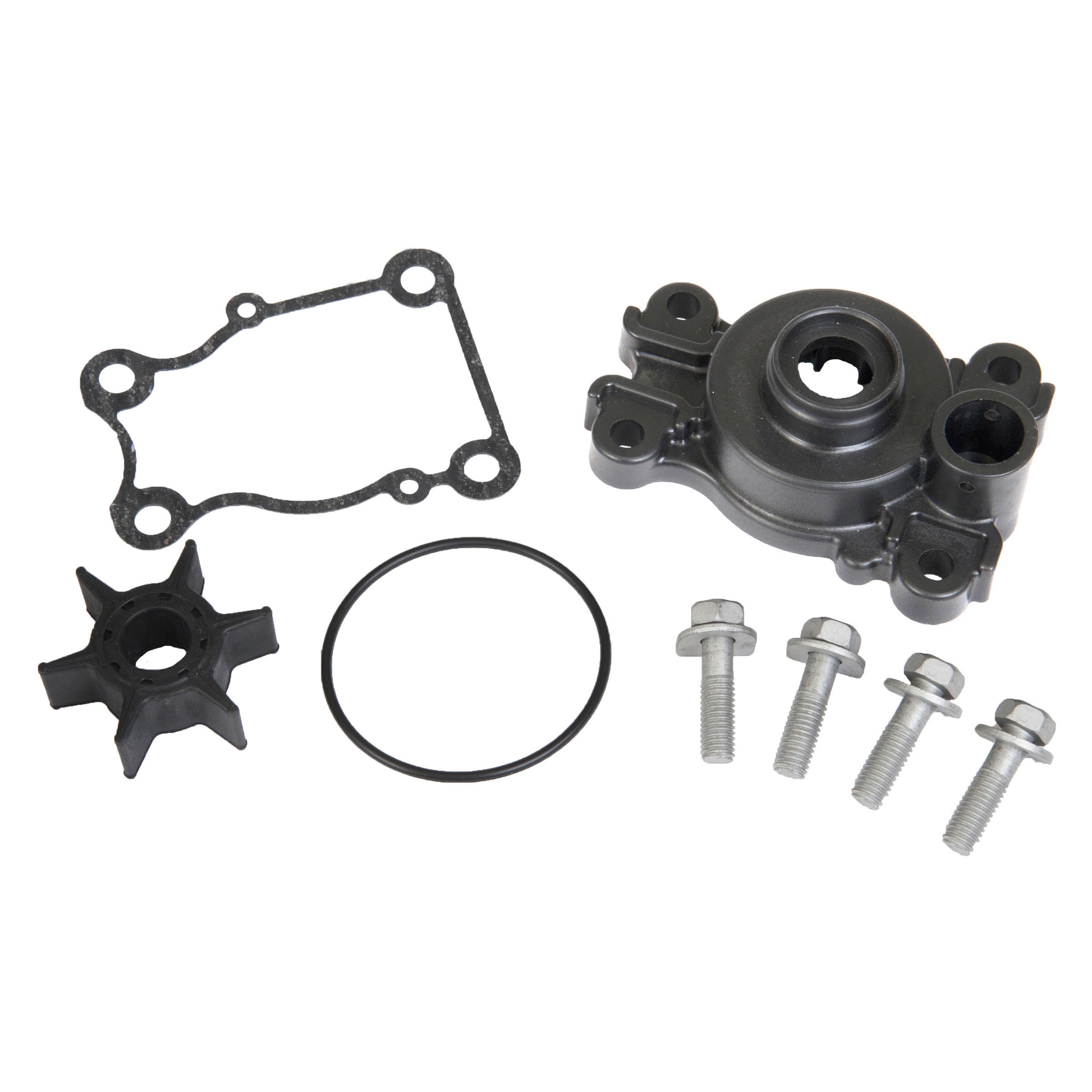 Water Pump Kit w/ Housing, 18-3413 Sierra