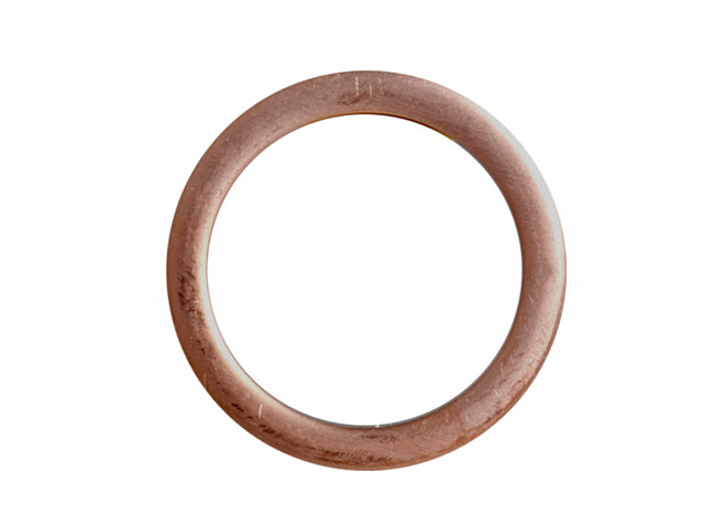 Gasket, Crankcase Drain, 18-0755 Sierra