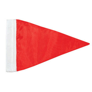 Taylor Made, Pennant, Tag & Release, 5-1/2" x 8-1/2"