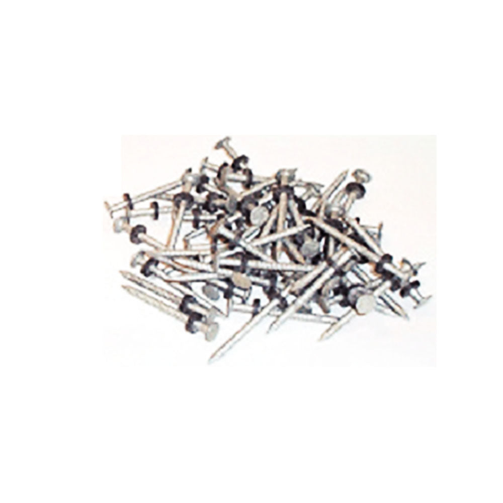 Taylor Made, Nails, 1/8 lb #6 Galvanized