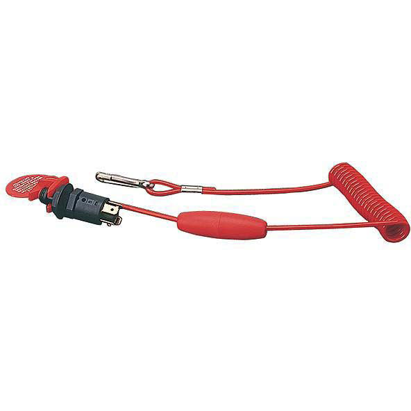 Replacement Lanyard