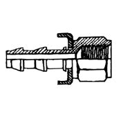 Female Pipe - Solid, 10 - 08