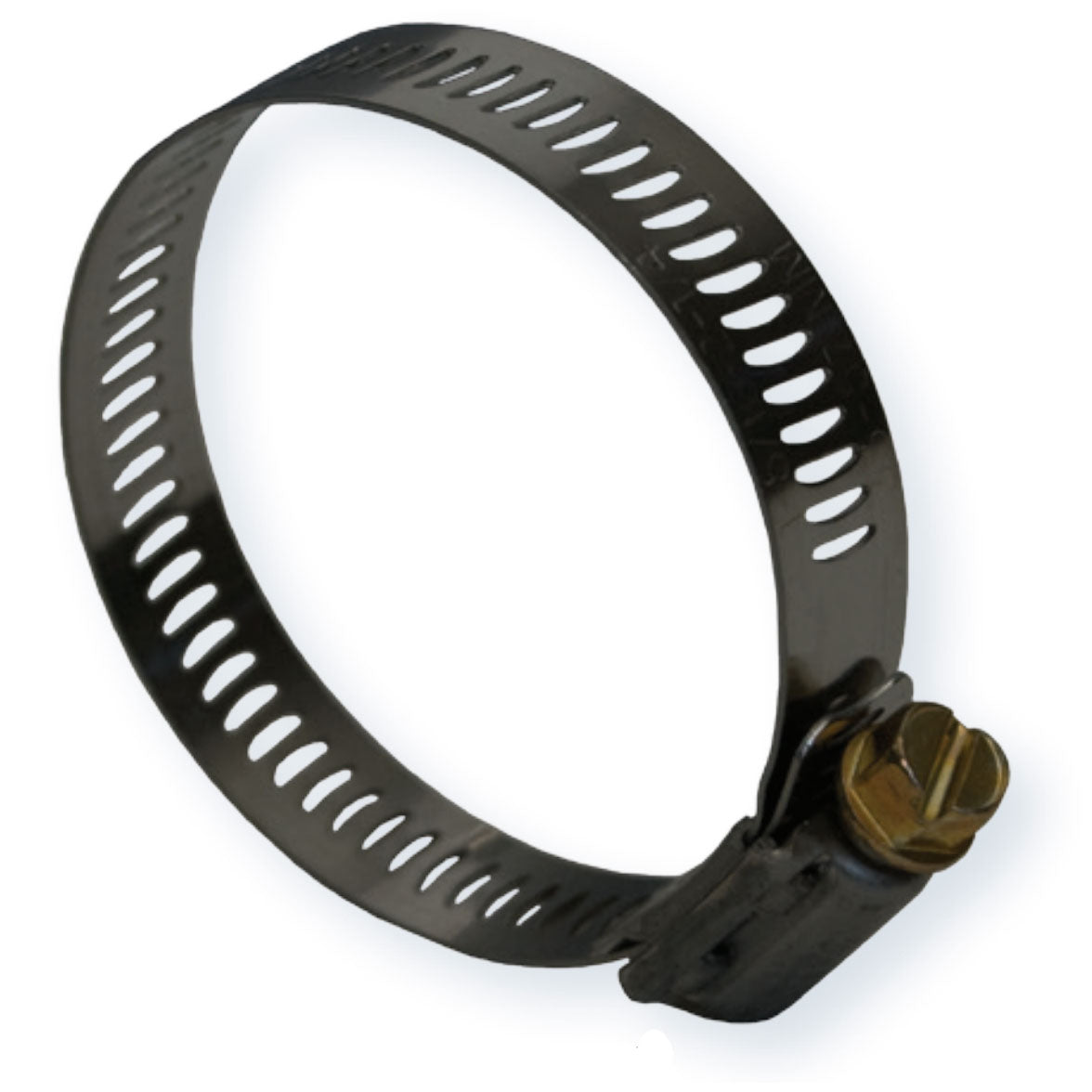 Hose Clamps, Dixon Stainless Steel Worm Gear