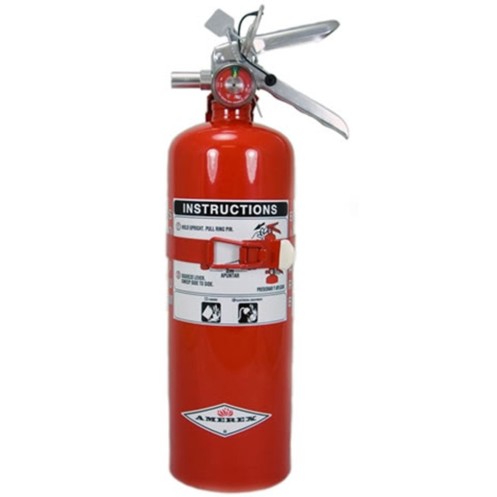 ABC Dry Chemical Extinguisher, Amerex Fire B417T 2.5lb