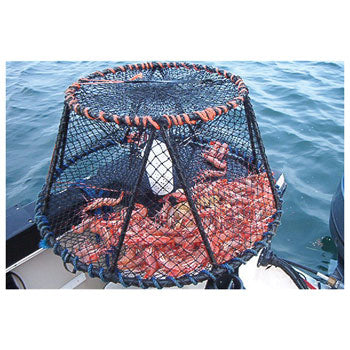 Shrimp Pot, Ladner Weighted Spot Prawn Shrimp Pot, For Use in Washington State for  Shrimping