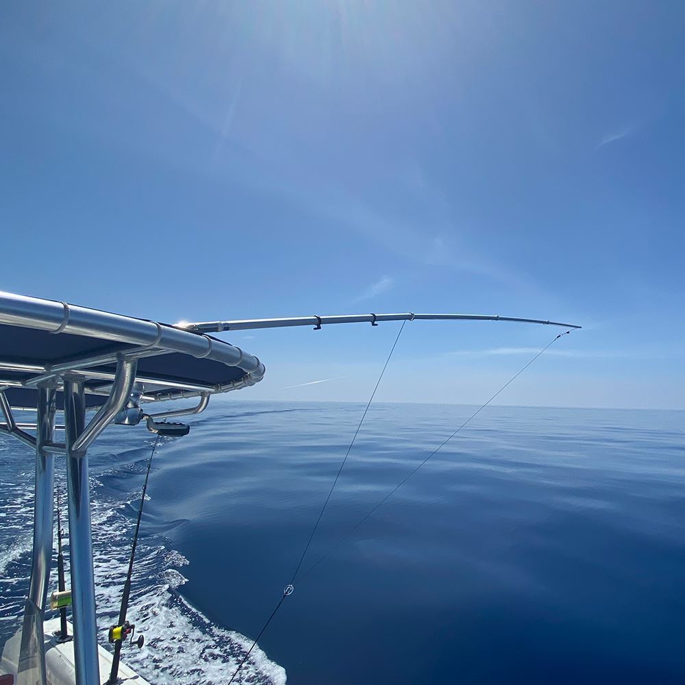 Taco, Outrigger Pole, Telescoping to 15', 1-1/2" Butt End, Silver with Gold