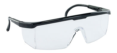Hornets Safety Glasses Clear