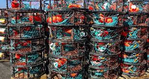 Trilogy 28" Dungeness Crab Pot