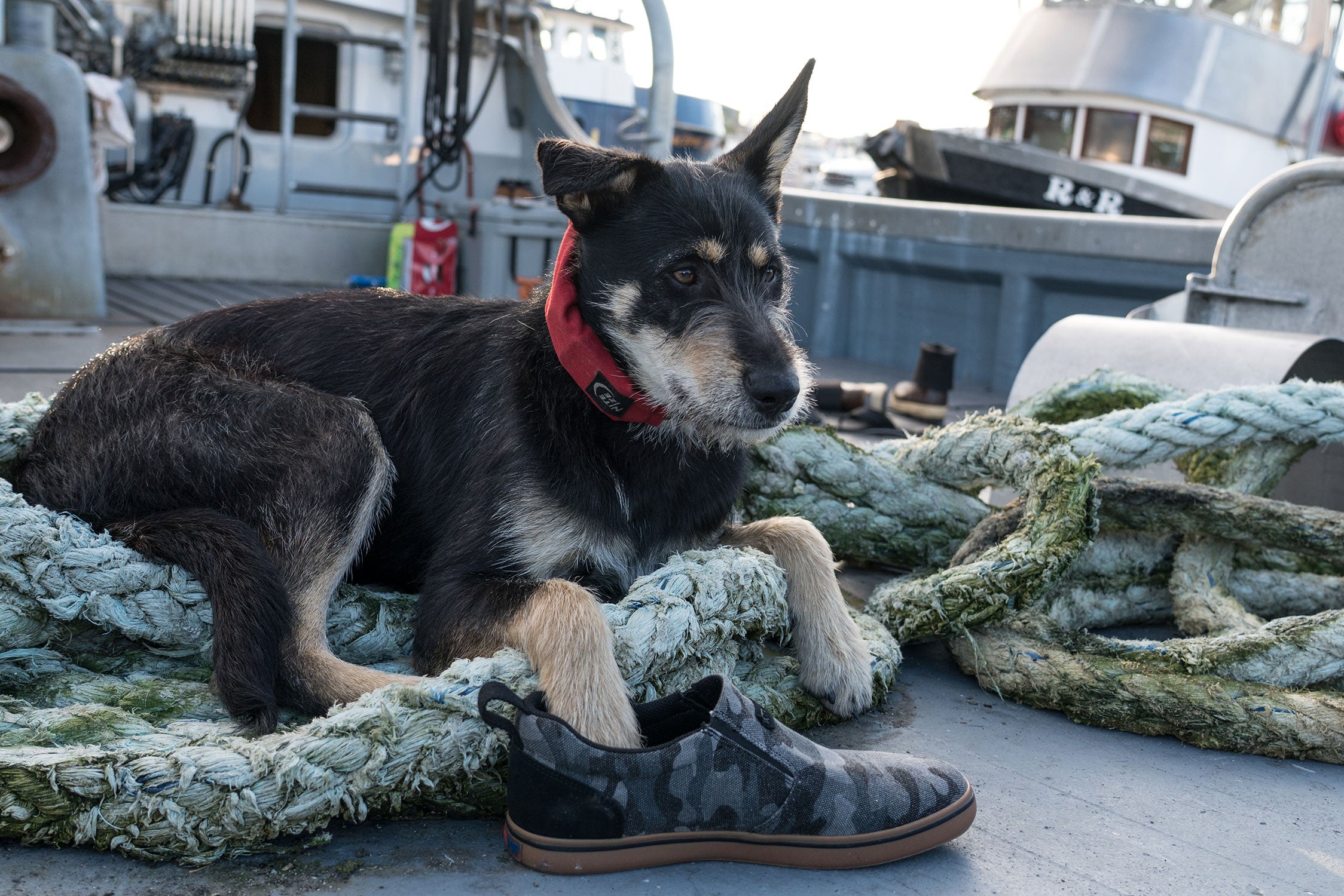 Open Box XTRATUF Men's Canvas Sharkbyte Deck Shoe - Black Camo 7.5