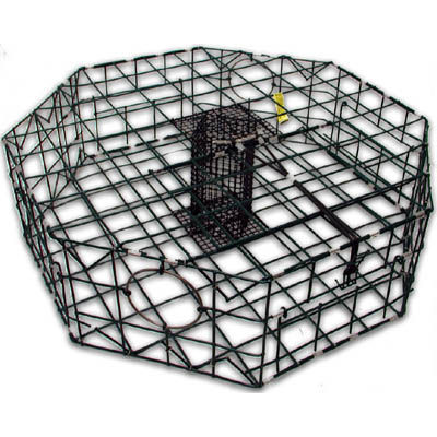 Crab Pot, 12" Fast Fisher 30" x 30" x 12", Octagon