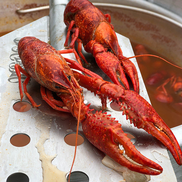 18-Inch Dual Jet Cooker, SP2