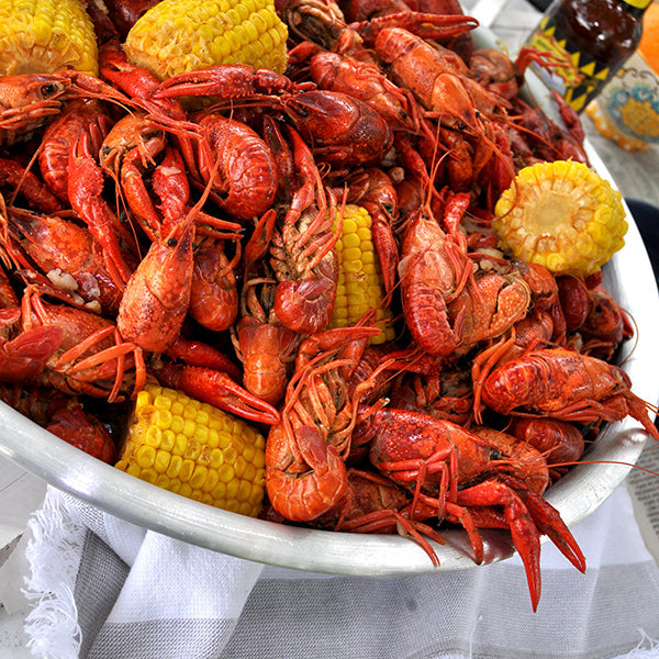 18-Inch Dual Jet Cooker, SP2