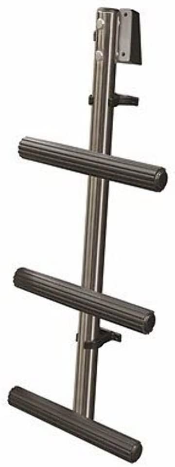 3-Step Dive Ladder 1.25" Stainless Steel 316 Tube W/Mounting Bracket
