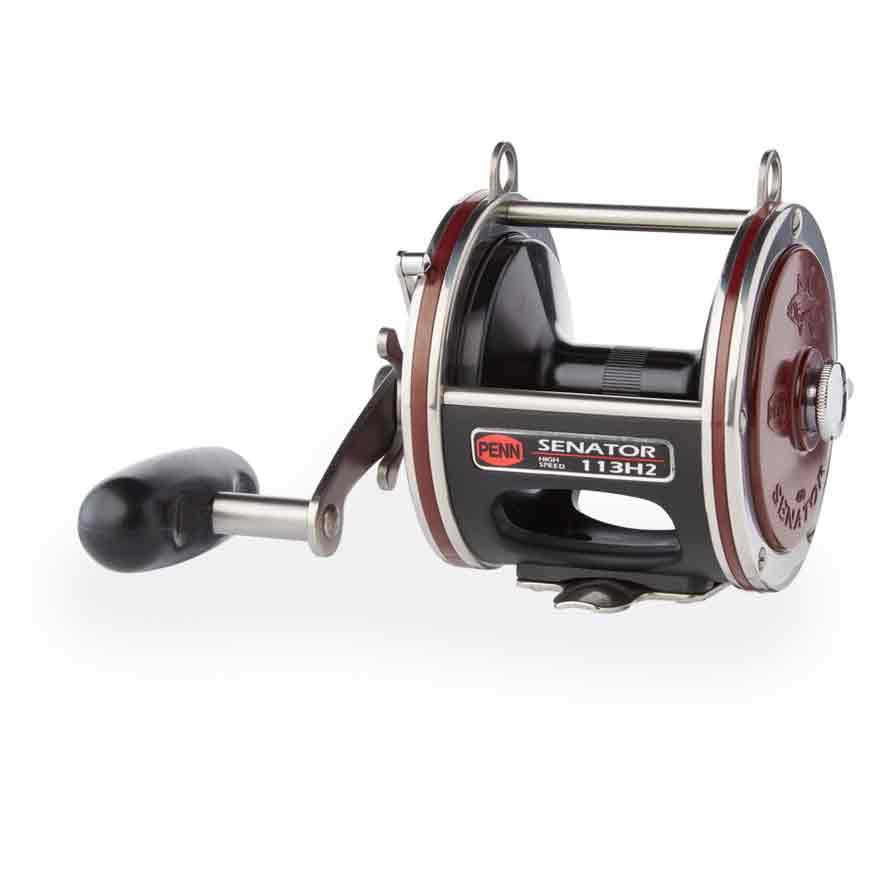Penn Special Senator Star Drag Reel - 20