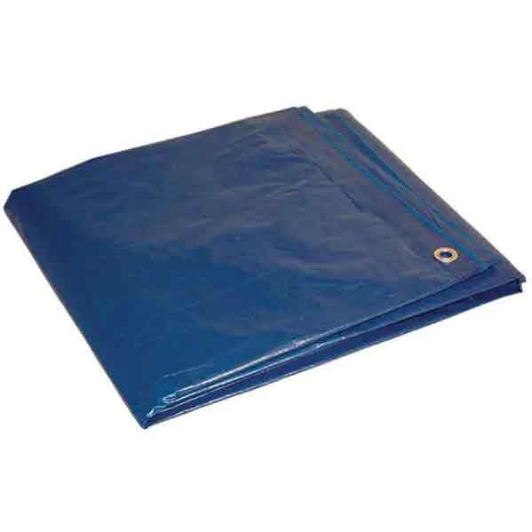 Foremost 30' x 60' Blue Dry Top Tarp