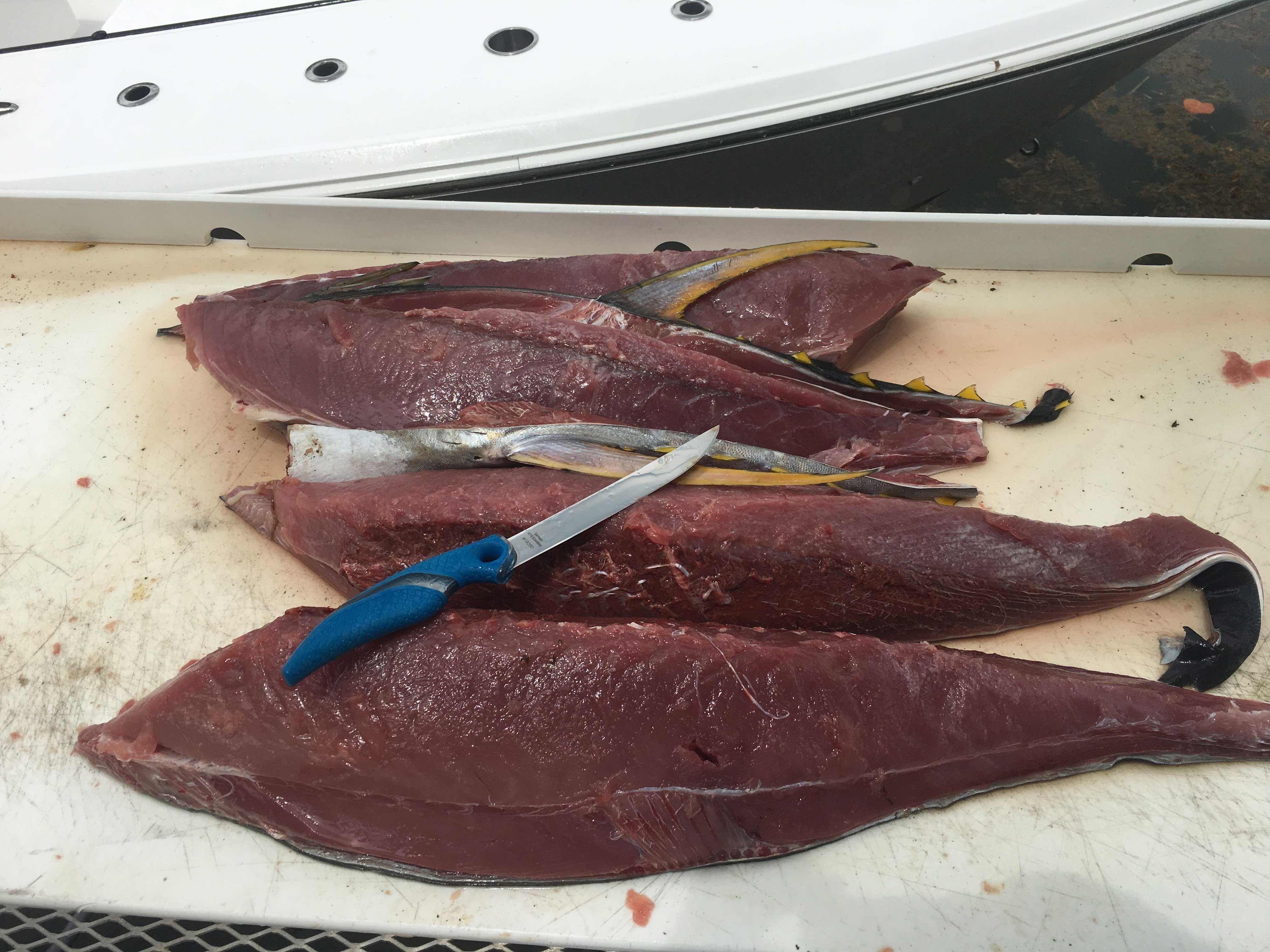 Cuda 7" Titanium Bonded Wide Fillet Knife