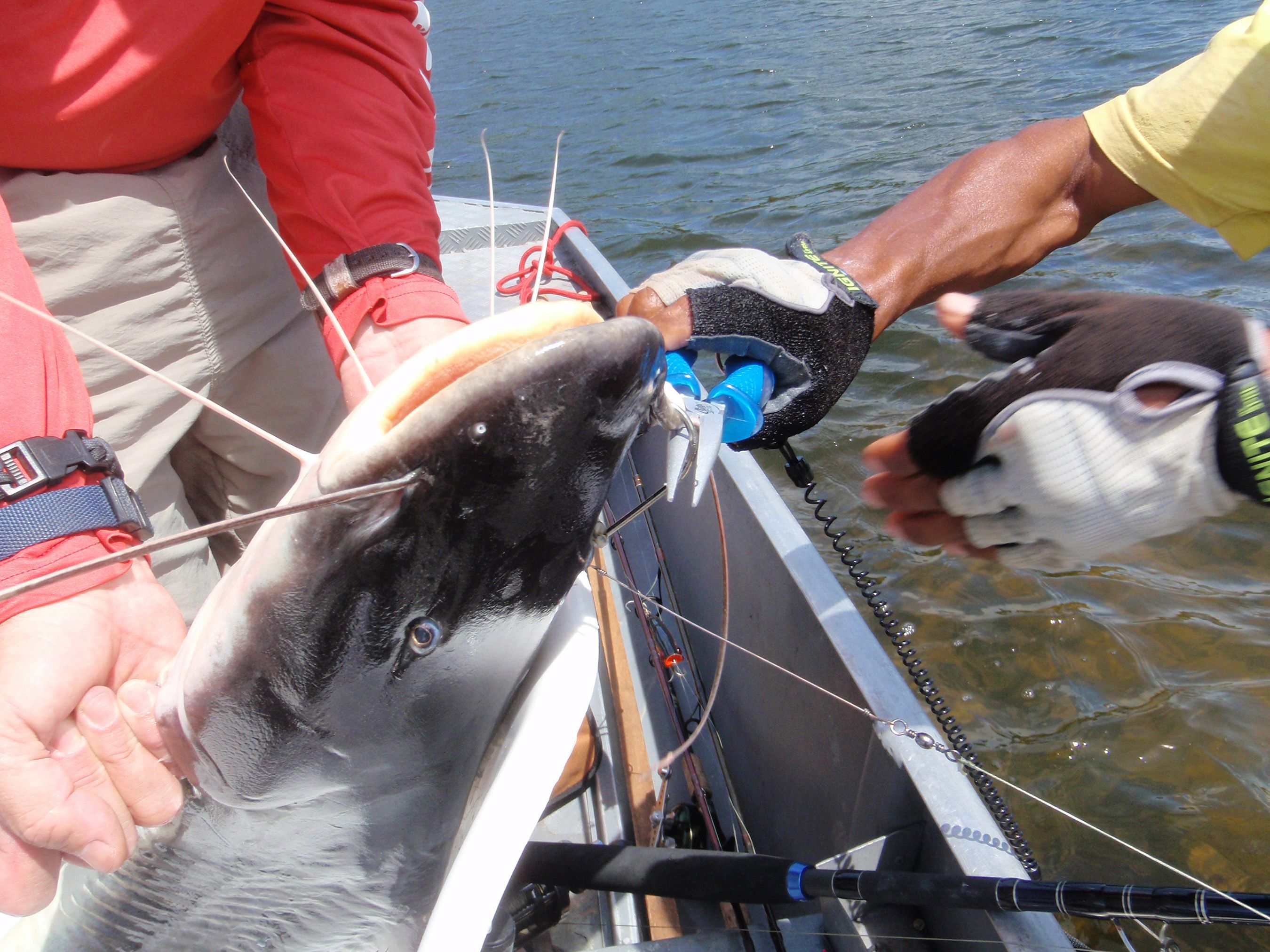 8.75" Titanium Bonded Needle Nose Pliers