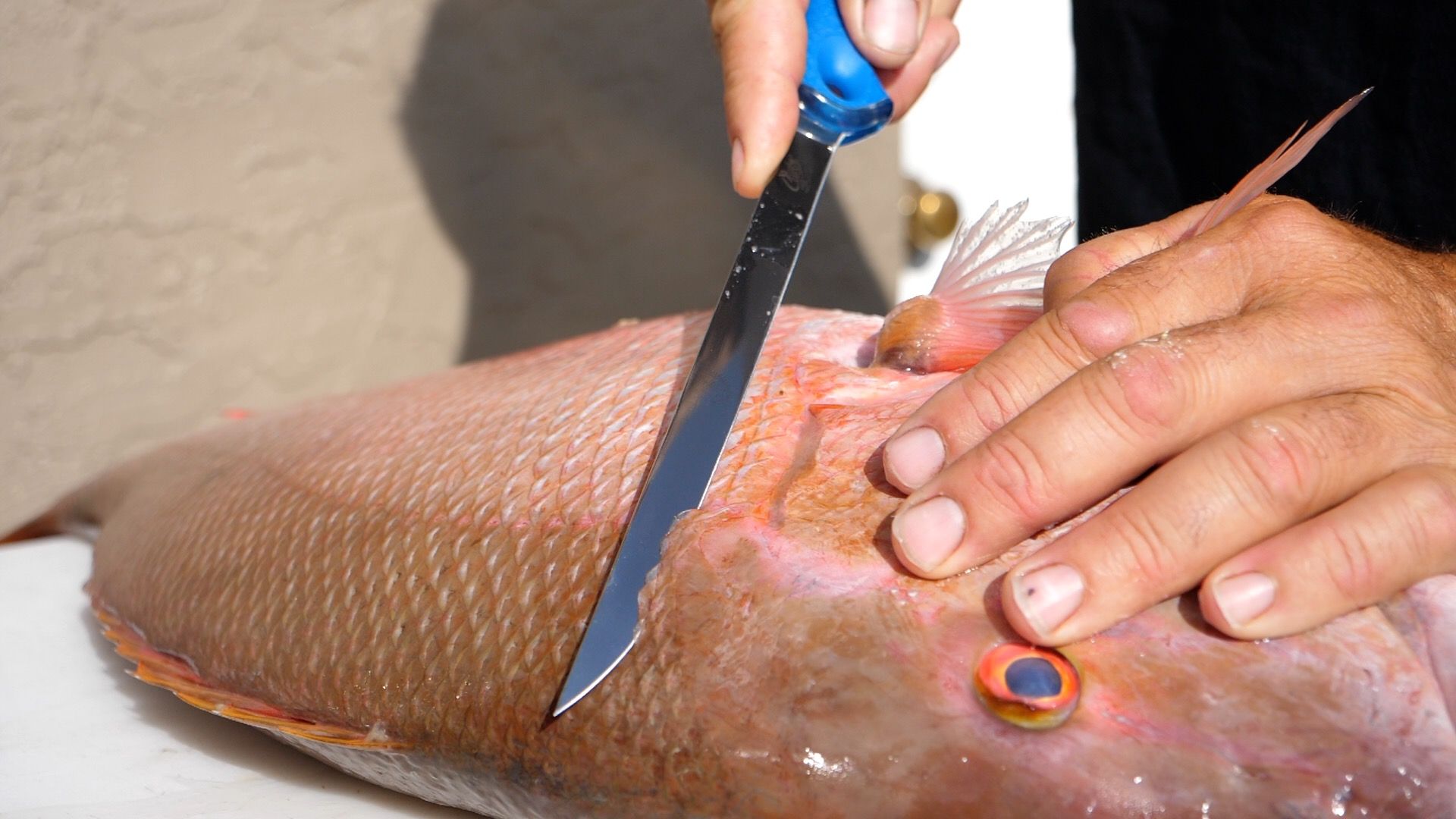 9" Titanium Bonded Flex Fillet Knife