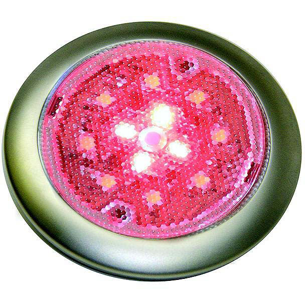 SeaDog 401679 Stainless White & Red LED 12V Surface Mount Low Profile Day & Night Task Light with On / Off Switch | #6 Fastener