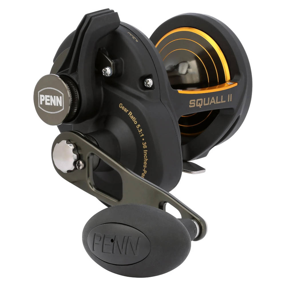 Penn Squall II 40 Lever Drag Fishing Reel