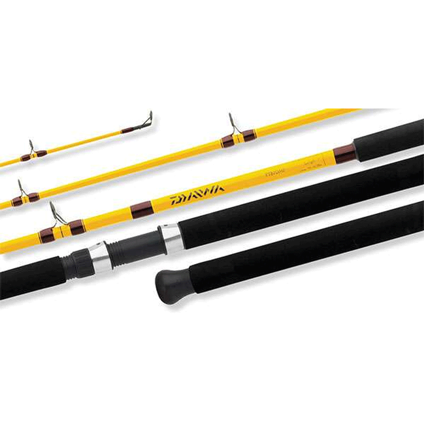 Daiwa FT Boat Rod