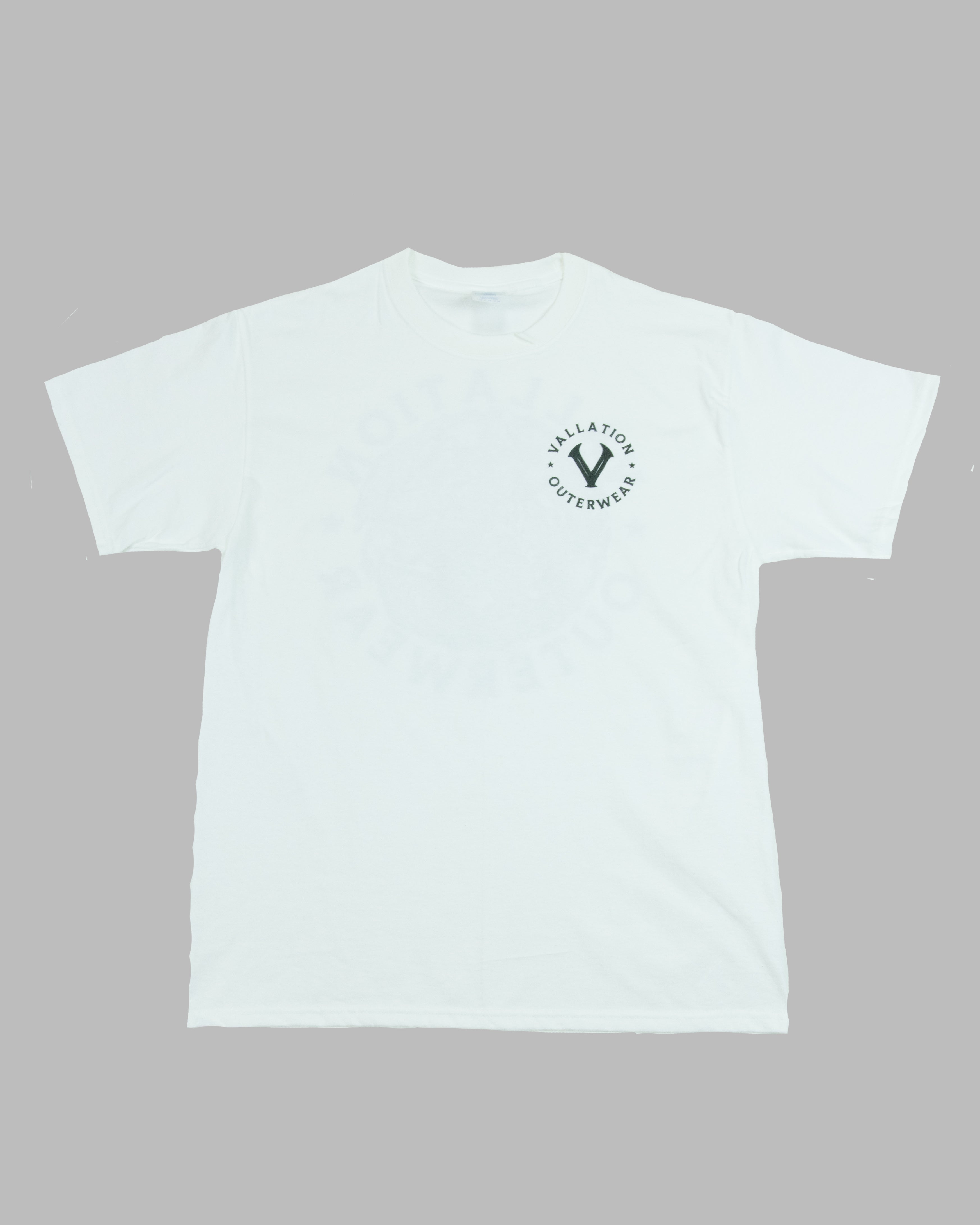 Vallation-Spurlock, Men's Aquarium Tee