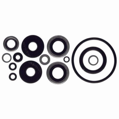 Gear Housing Seal Kit, 18-2656 Sierra