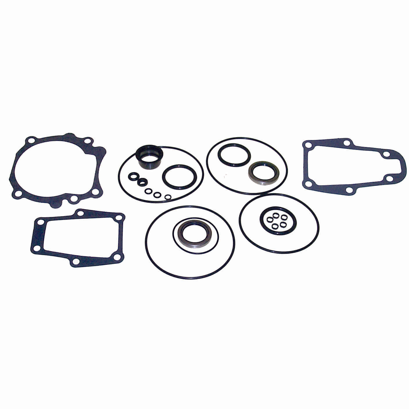 Lower Gearcase Seal Kit
