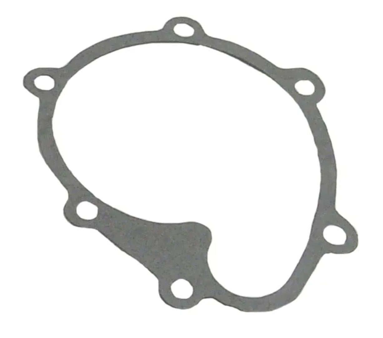 Water Pump Gasket - Volvo - 18-2979
