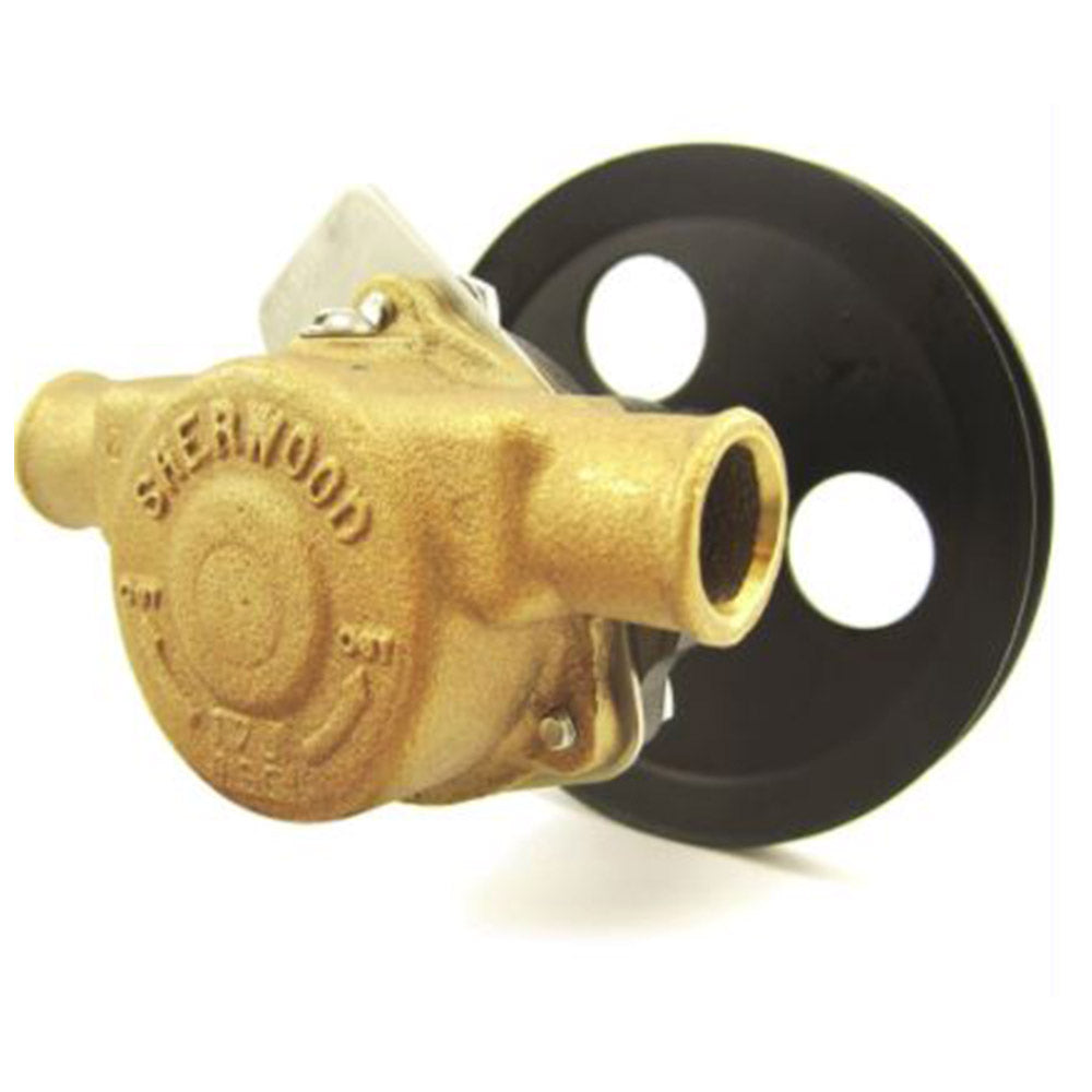 Pleasurecraft Pump, 1" x 1" G-21