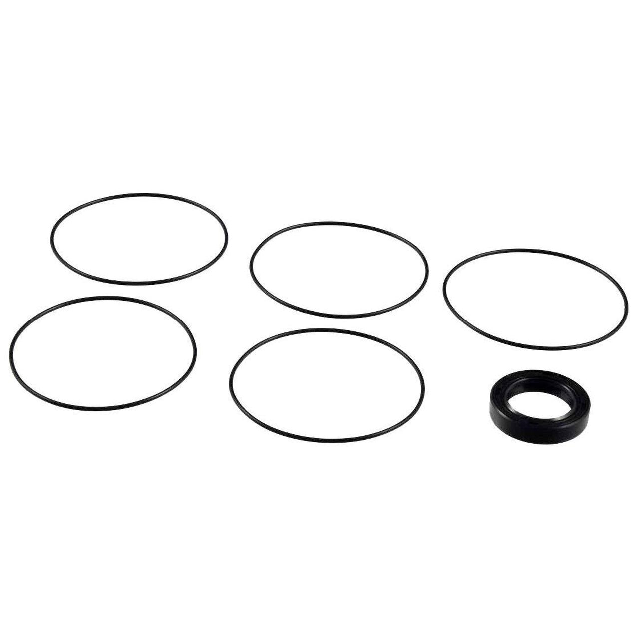 Helm Seal Kit HS-01, Hynautic H-20/H-30 Pre-1979 w/External Black Seal