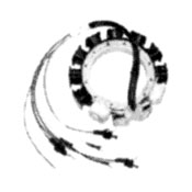 6 Cyl Mercury Stator Assembly - 9 Amp, 174-5456