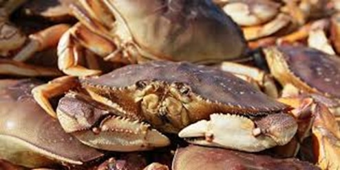 Crabbing Guide