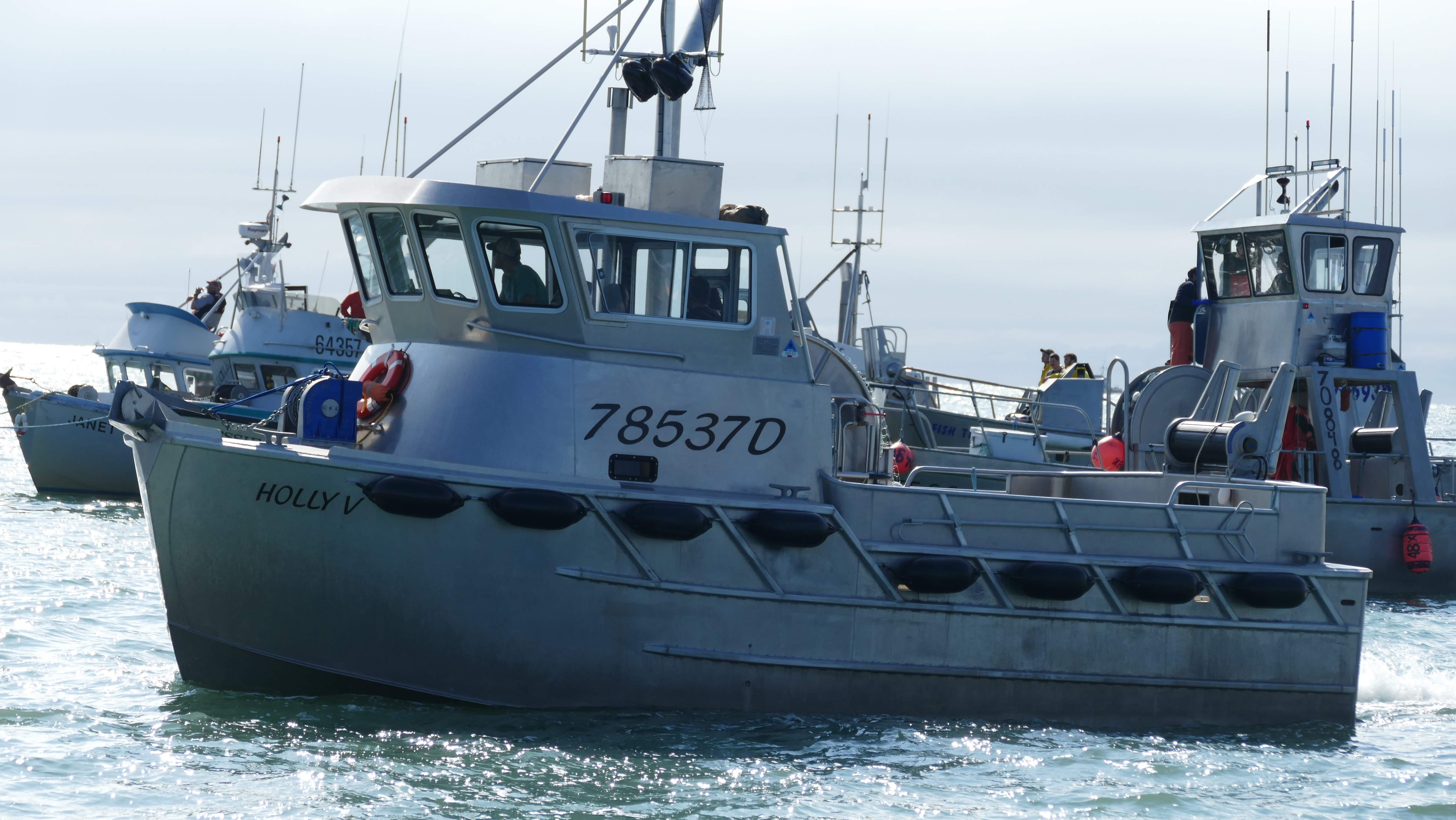 Yamaji / Peak Gillnet Color Samples – High-Quality Nets for Commercial Fishing