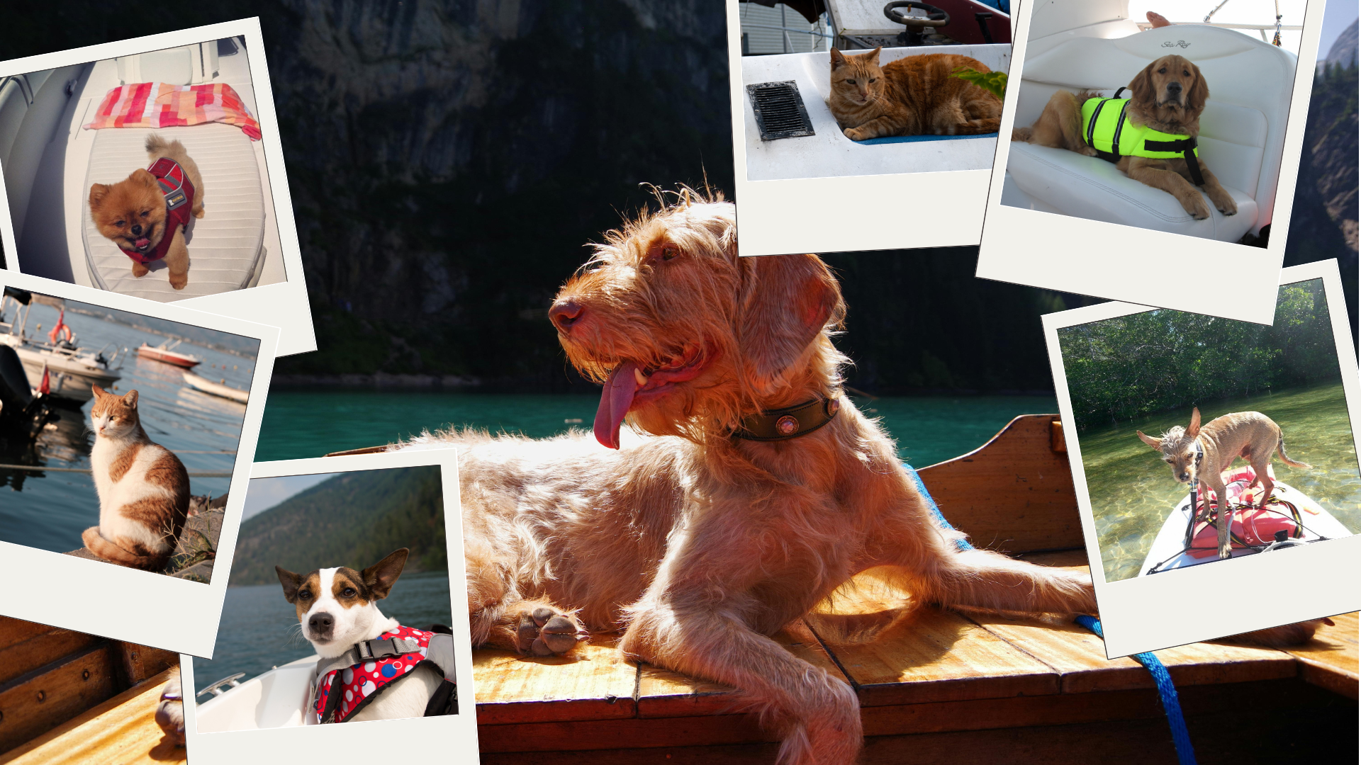 #SaltySidekicks2026 | Enter for a chance to win a Go2marine Gift Card!