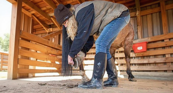 Top 10 Women's Equestrian Boots