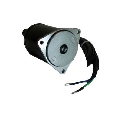 Tilt / Trim Motor, 12 Volt, PT309NM-3