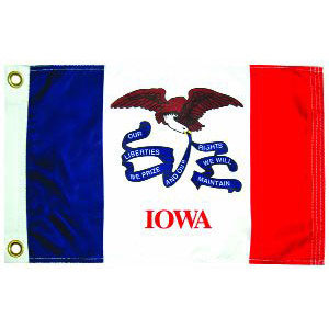 Taylor Made, US State Flag, 12" x 18", Iowa